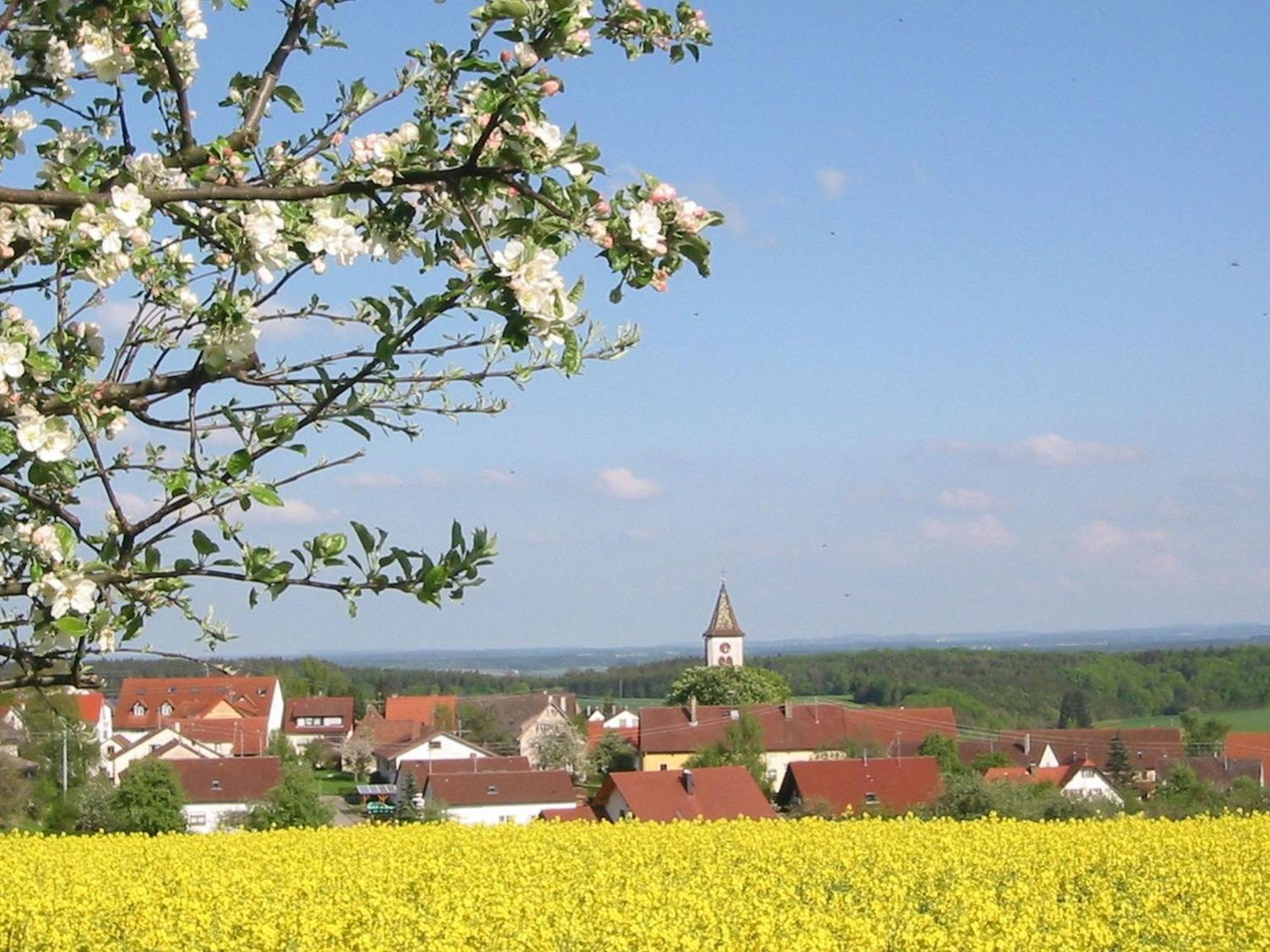 Kleine Auszeit Villa Thalheim  Kültér fotó